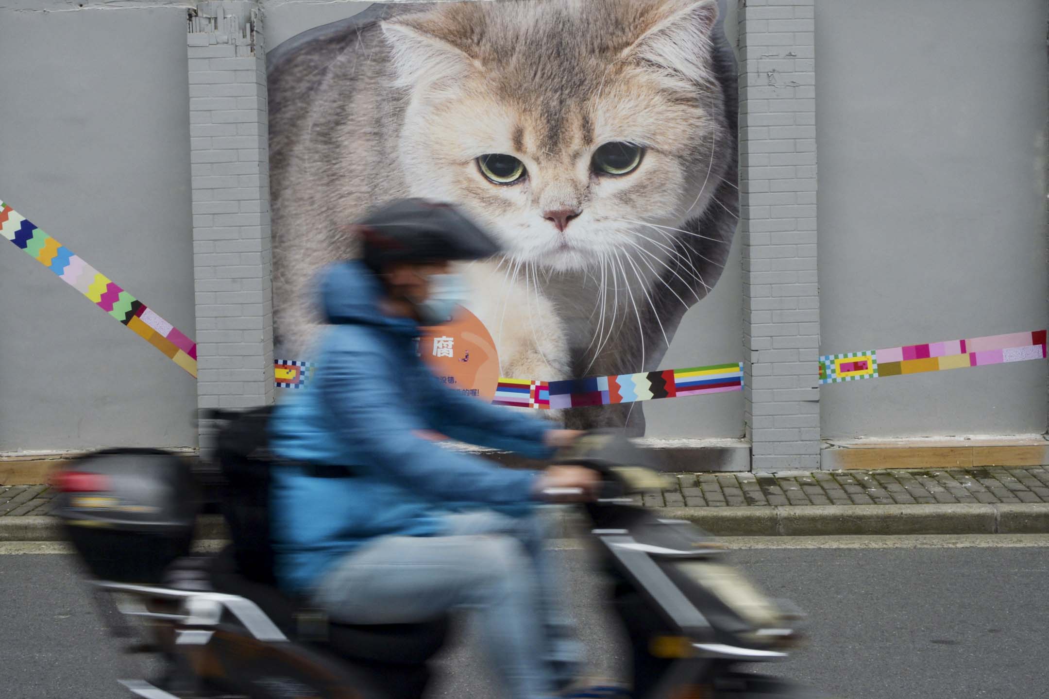 2023年5月6日,中國上海舉行的第三屆外灘藝術節期間,一名騎自行車的人騎車經過牆上的貓像塗鴉。攝: VCG/VCG via Getty Images