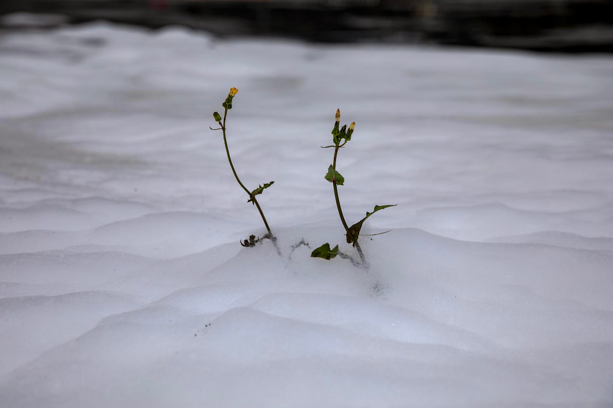 2023年4月20日,马祖,民安9号演习。摄:陈焯𪸩/端传媒