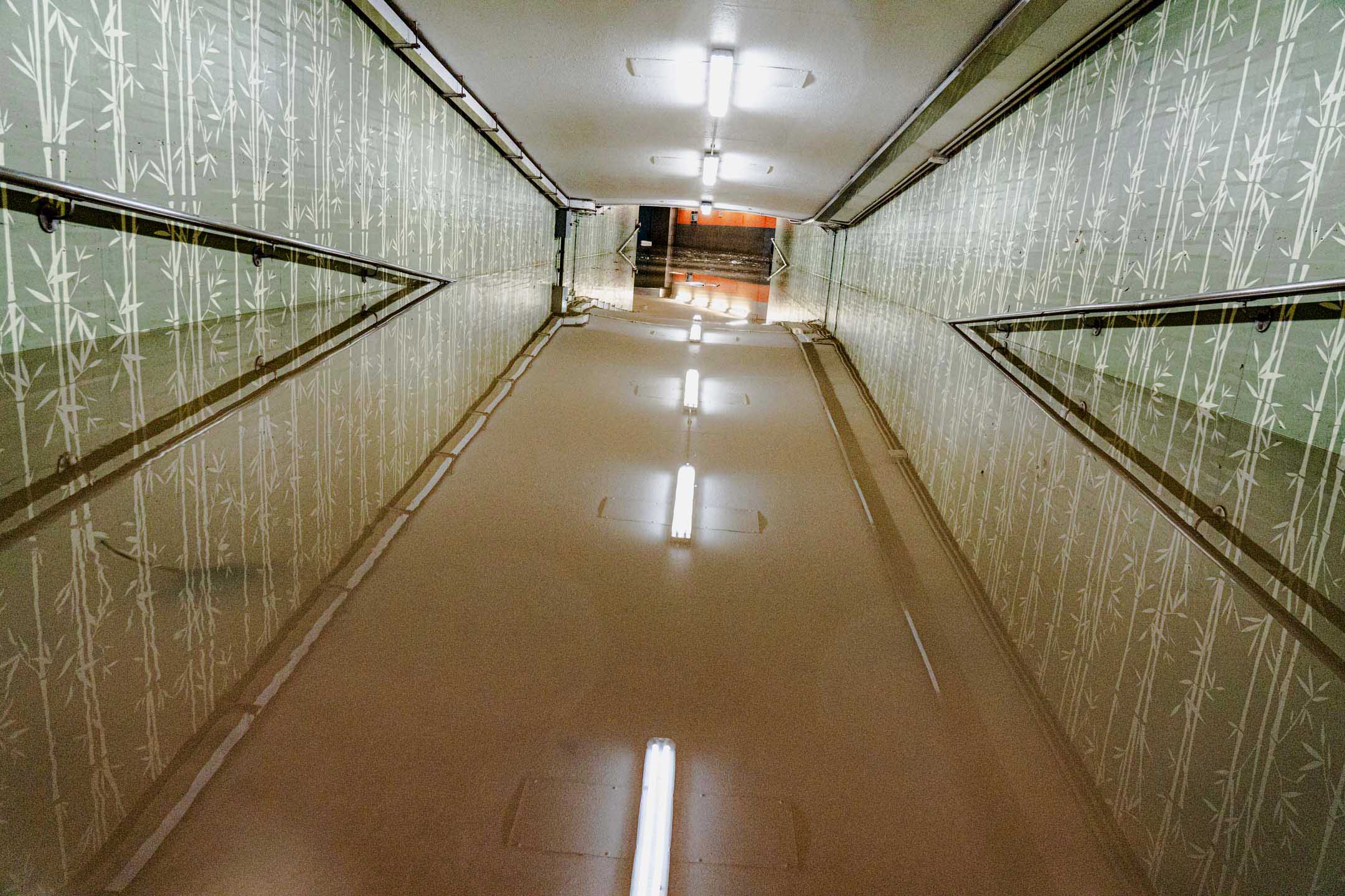 2023年9月8日，香港，自有紀錄以來最大的暴雨令多區水浸。攝：Ryan Lai/端傳媒