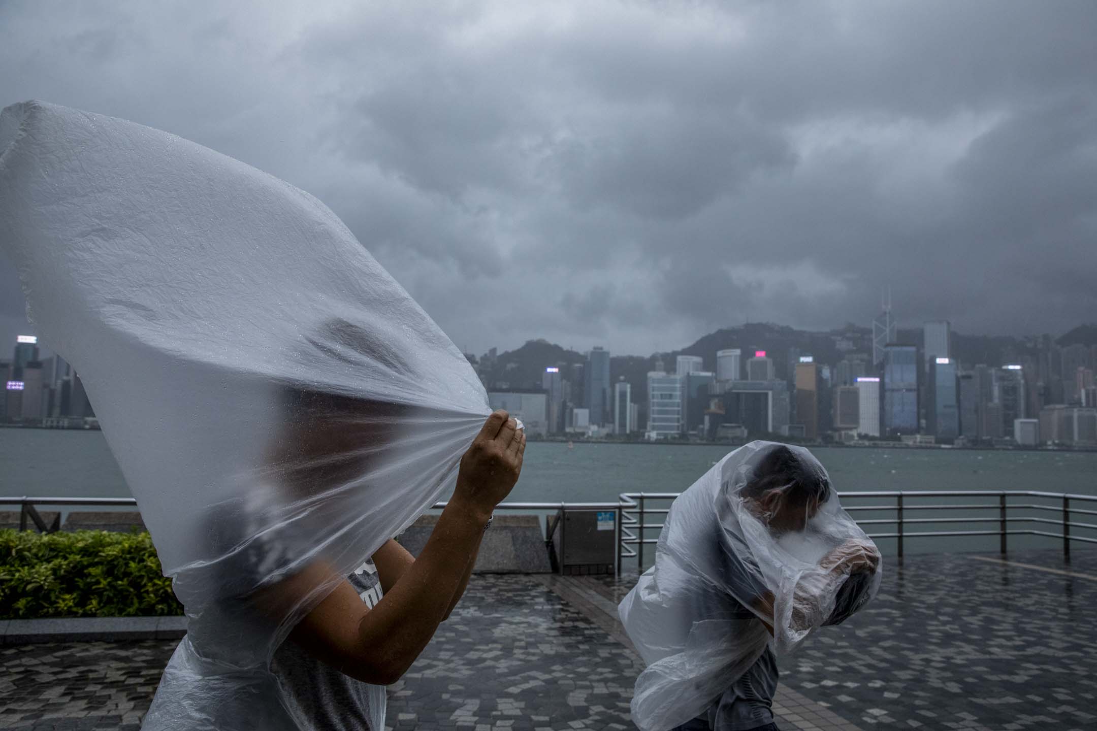 2023年9月1日，超强台风苏拉逐步靠近香港，尖沙咀的市民在8号风球下逆风而行。摄：林振东/端传媒