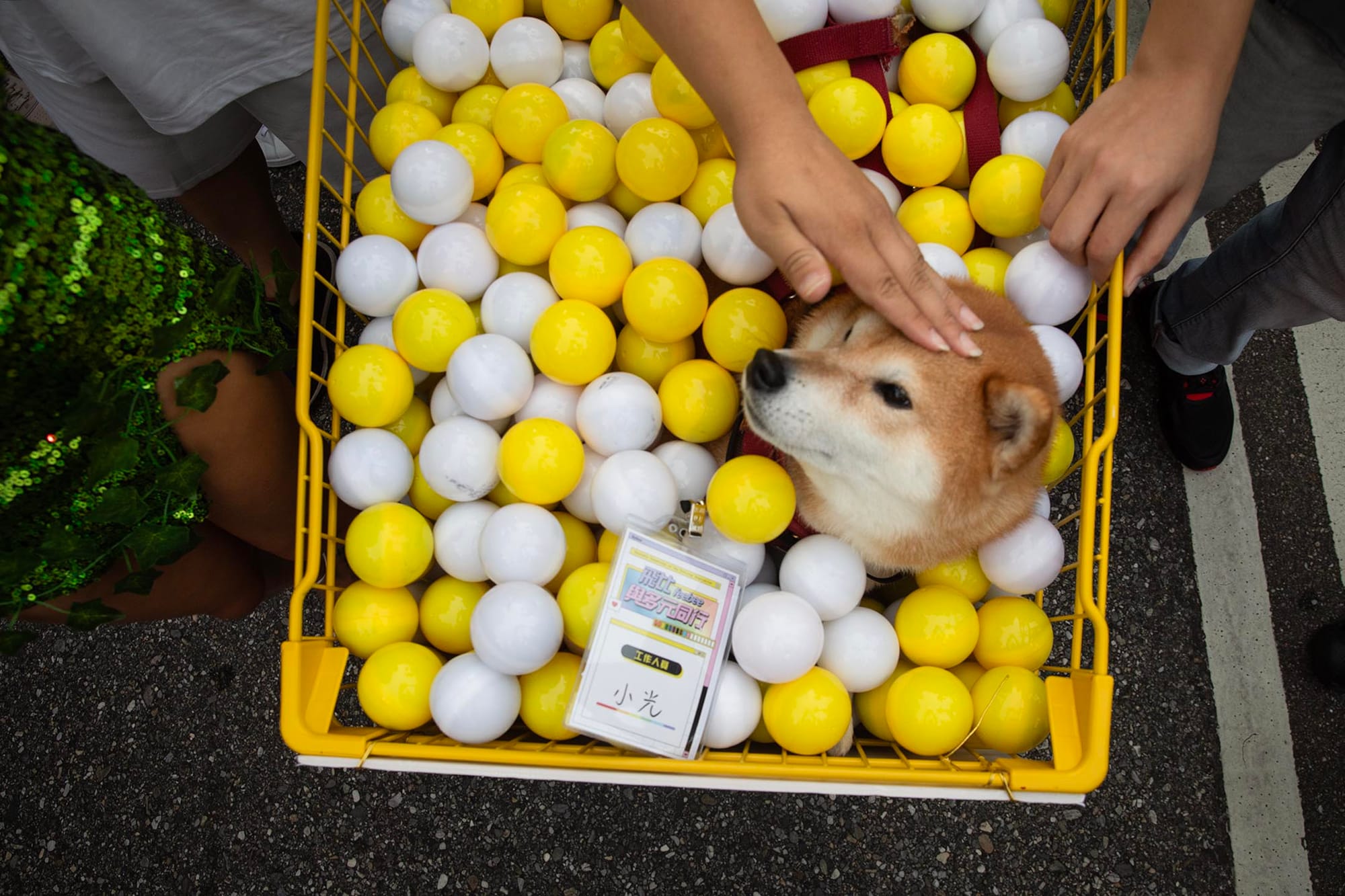 2023年10月28日，臺灣同志遊行。攝：陳焯煇/端傳媒