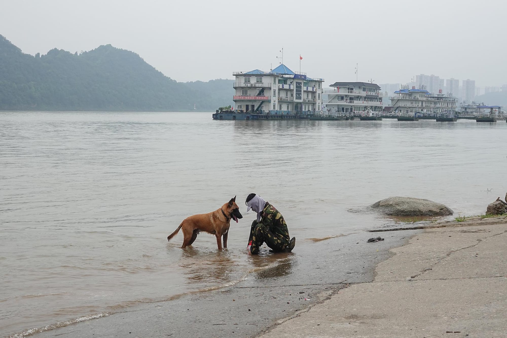 2023年7月26日，湖北省宜昌，一名男子帶着他的狗在長江邊乘涼。攝：CFOTO/Future Publishing via Getty Images