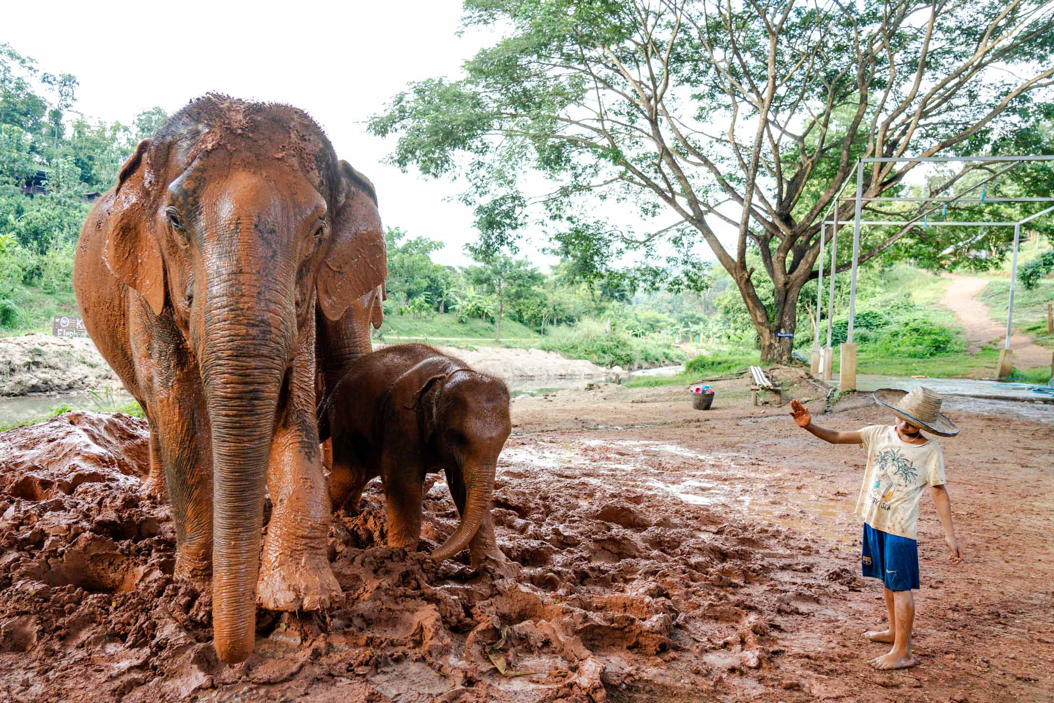 泰國清邁的郊區。攝:Ryan Lai/端傳媒