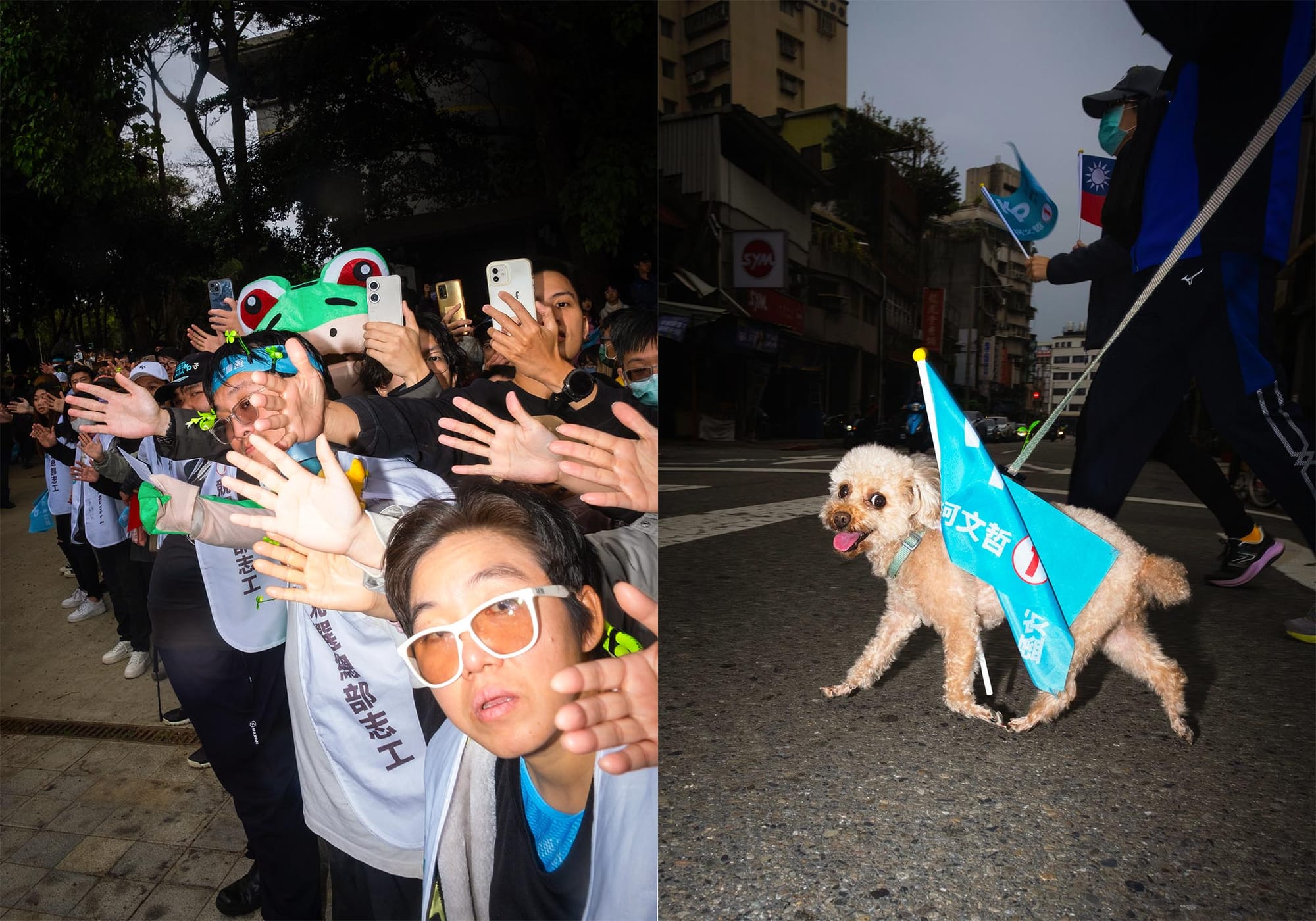 民眾黨的支持者(左),民眾黨支持者的狗(右)。攝:陳焯煇/端傳媒