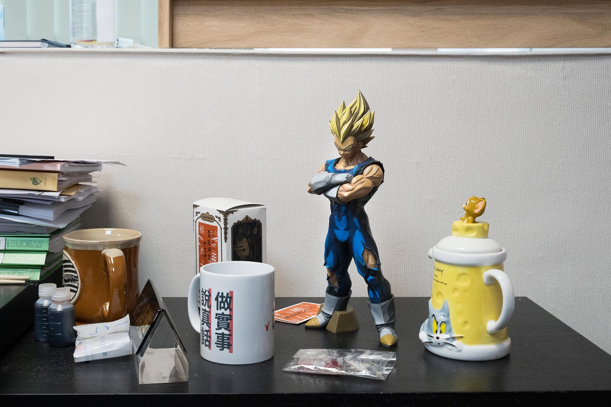 2024年1月30日，苗博雅的議員辦公室内的達爾。攝：唐佐欣/端傳媒