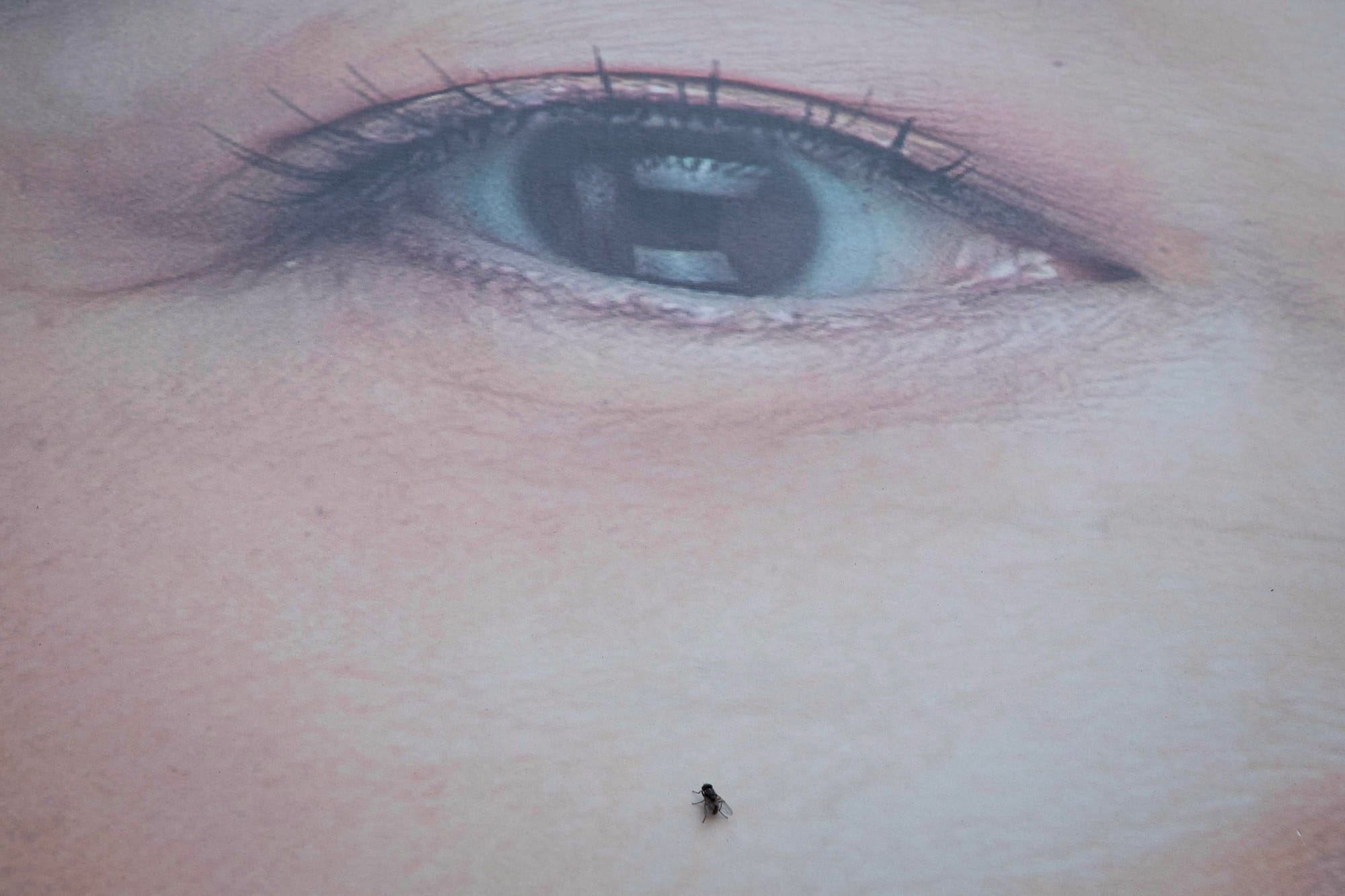 2024年1月8日，台北。攝：陳焯煇/端傳媒