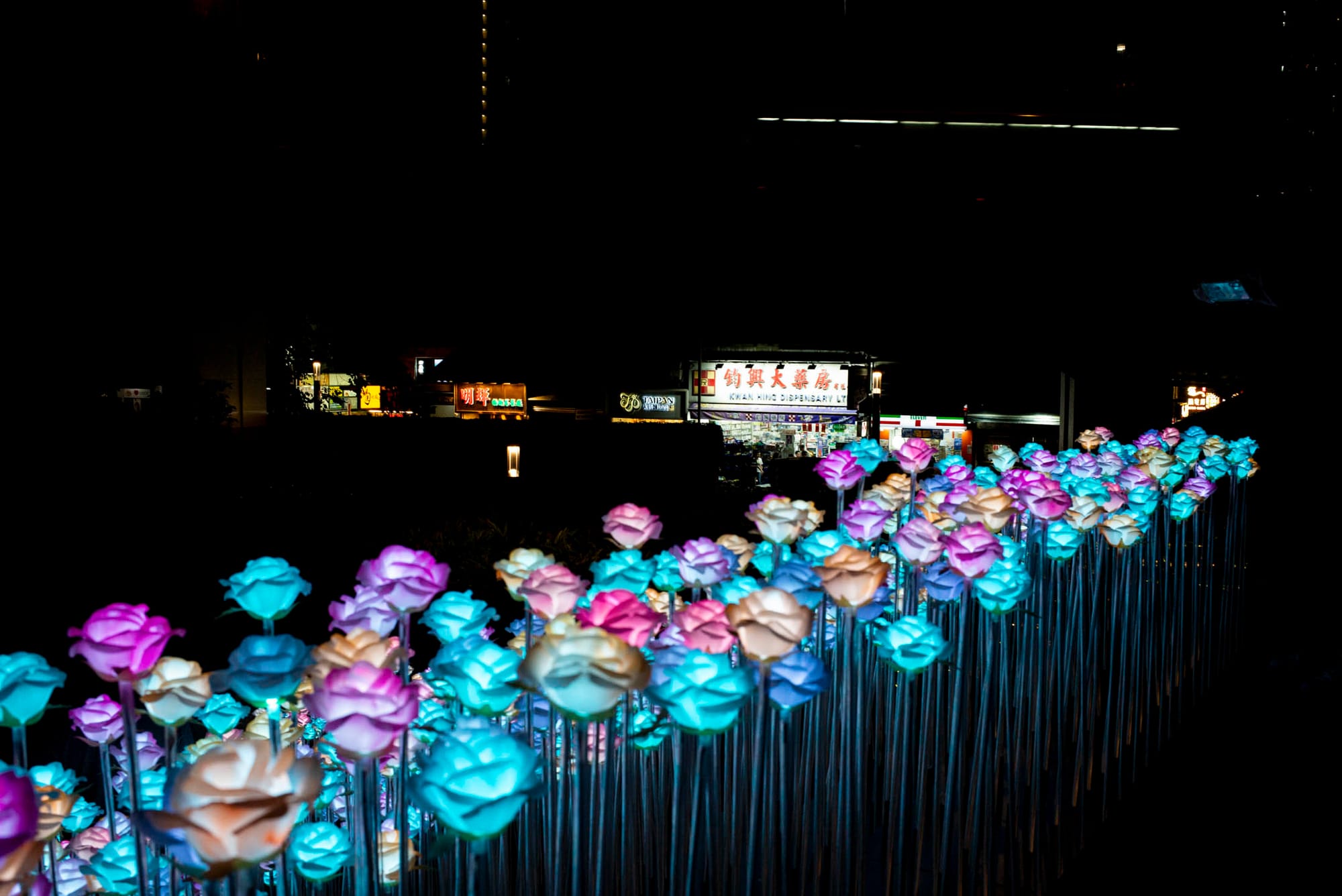 2024年3月28日，九龍灣東九文化中心 LED 花海。攝：林振東/端傳媒