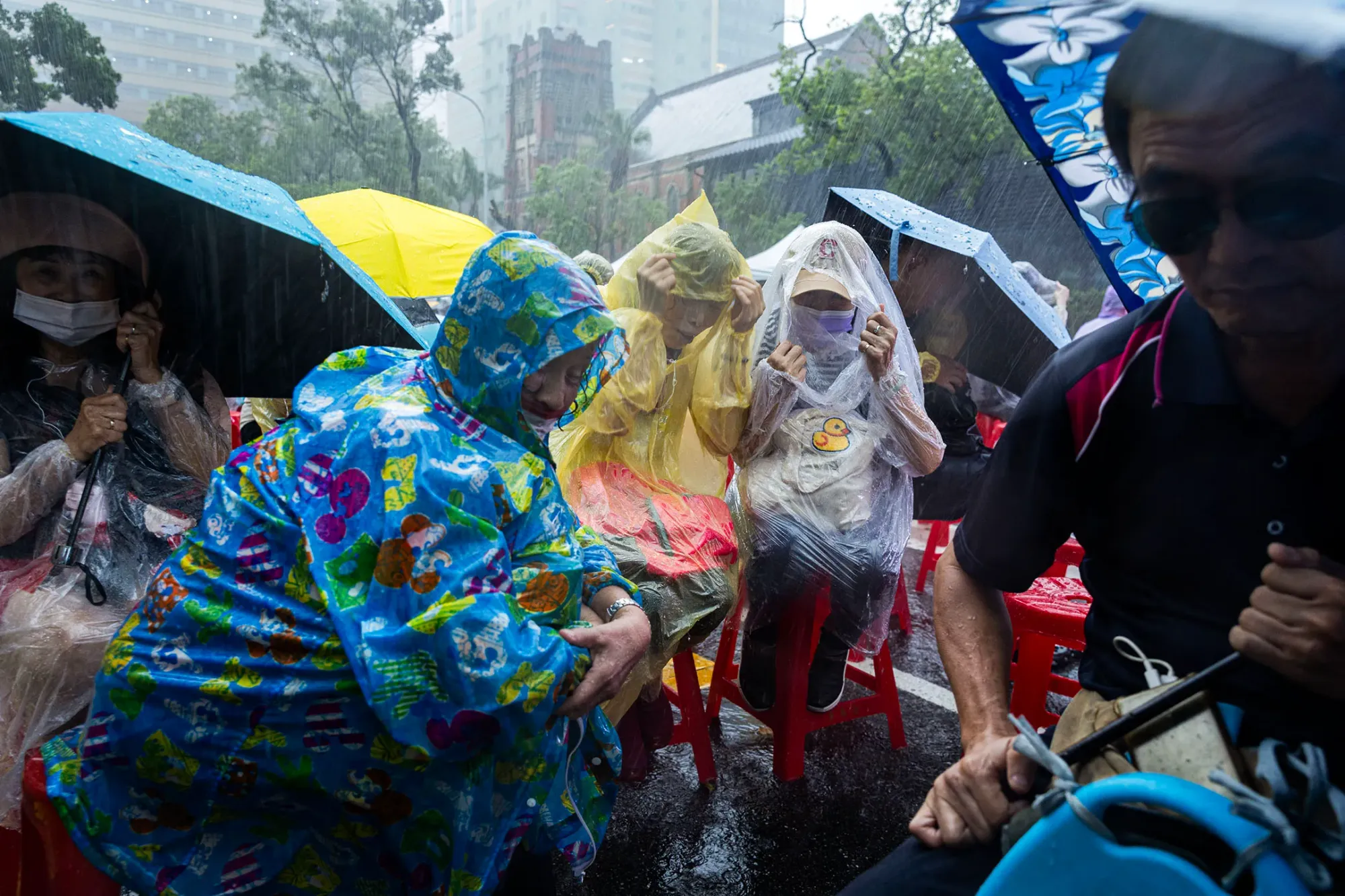 2024年6月21日，台北，公民團體發起「青鳥行動」，號召支持者到立法院外聲援。攝：陳焯煇/端傳媒