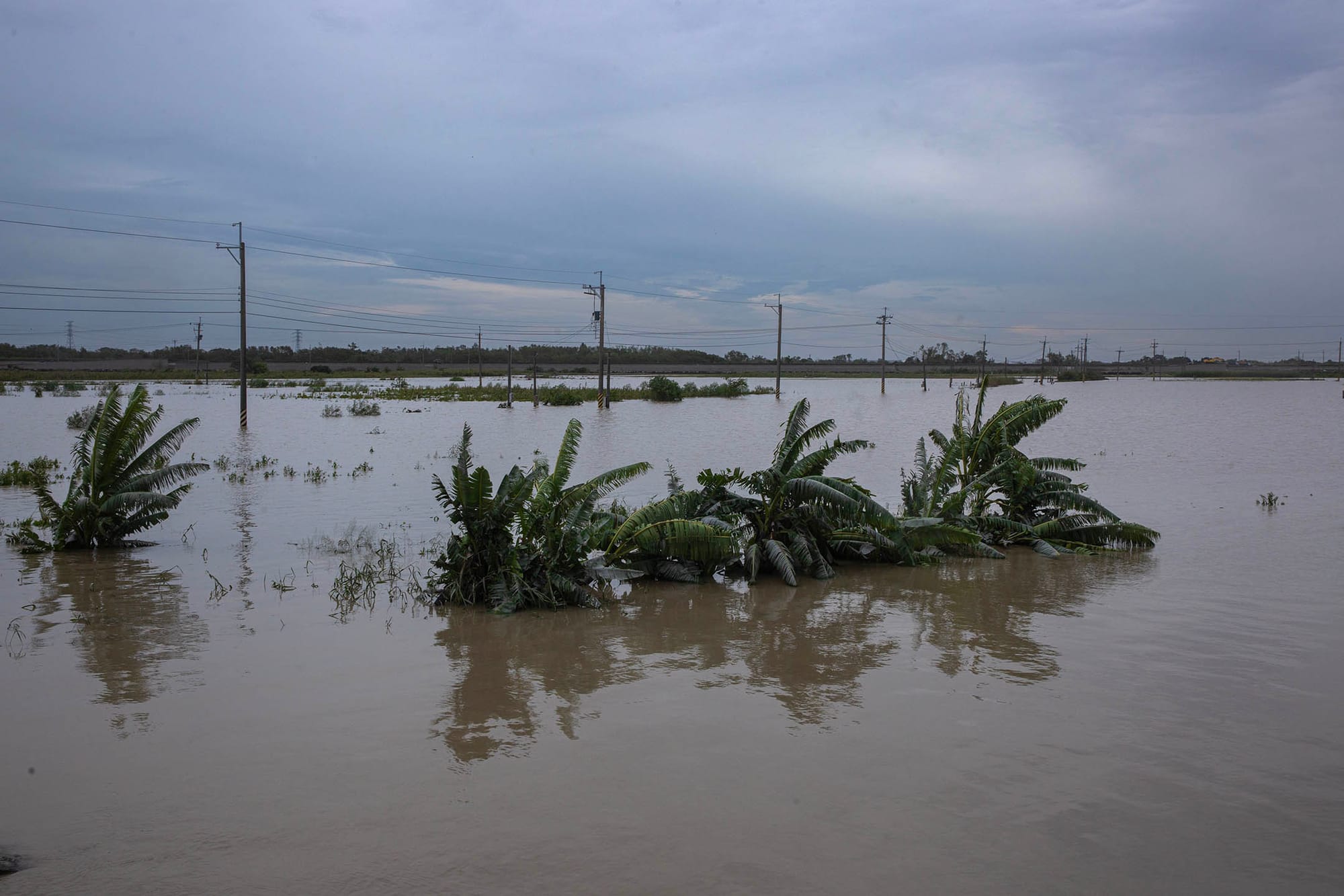 2024年7月27日，台南後璧，一個淹沒了的農田。攝：陳焯煇/端傳媒