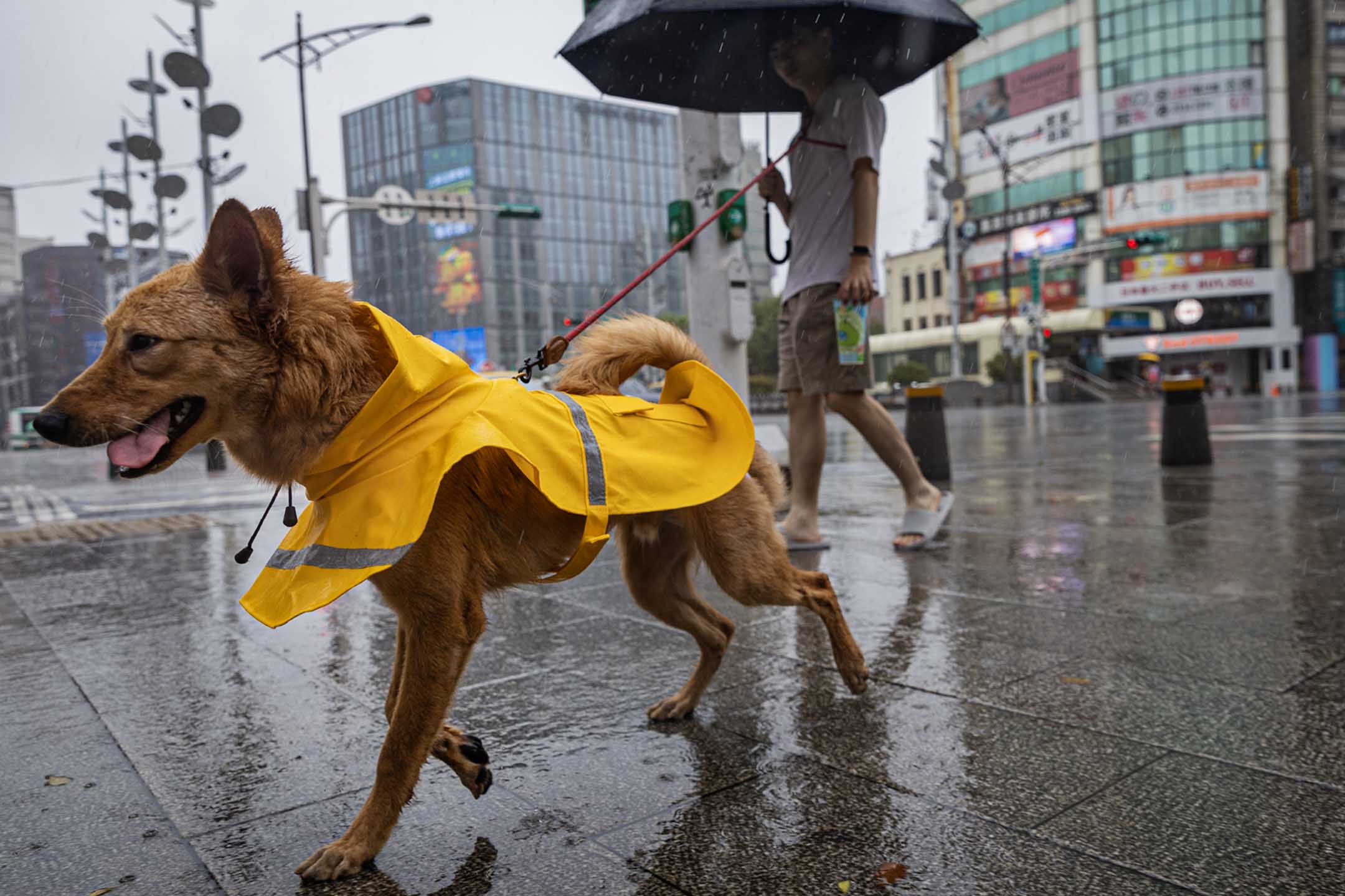 2024年7月24日，西門町。攝：陳焯煇/端傳媒
