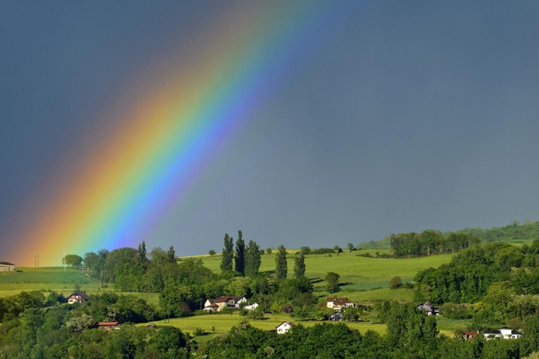 凤飞飞的歌声，气息绵长，热情奔放，充满能量，带给人的，是慰借和希望，所有这一切，都可以用彩虹作为象征摄：JEAN-PHILIPPE DELOBELLE / BIOSPHOTO / AFP