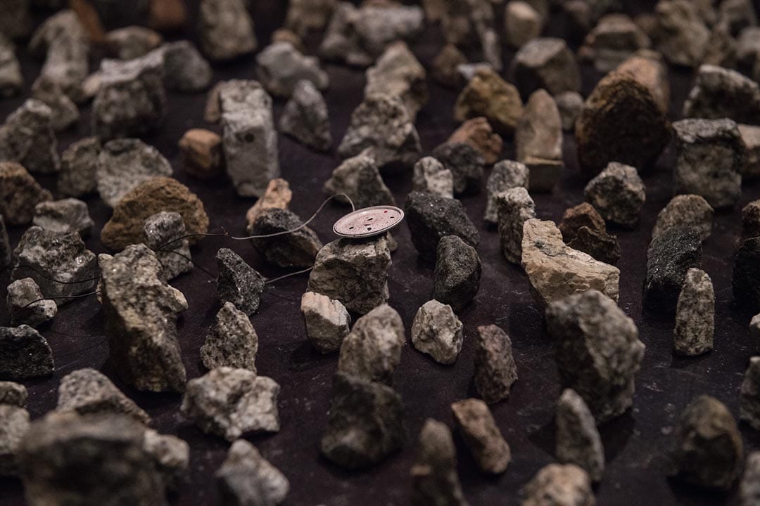 圖片由 Empty Gallery 提供