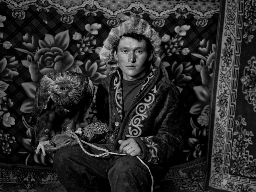 图片故事《Hunting with Eagles》。摄：Palani Mohan