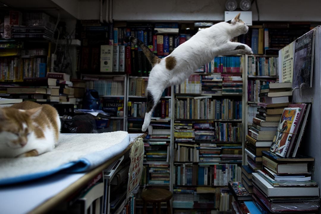 攝：盧翊銘/端傳媒