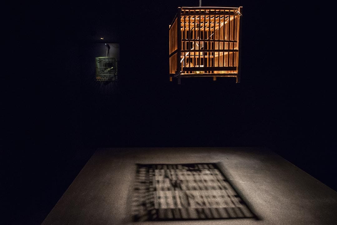 圖片由 Empty Gallery 提供