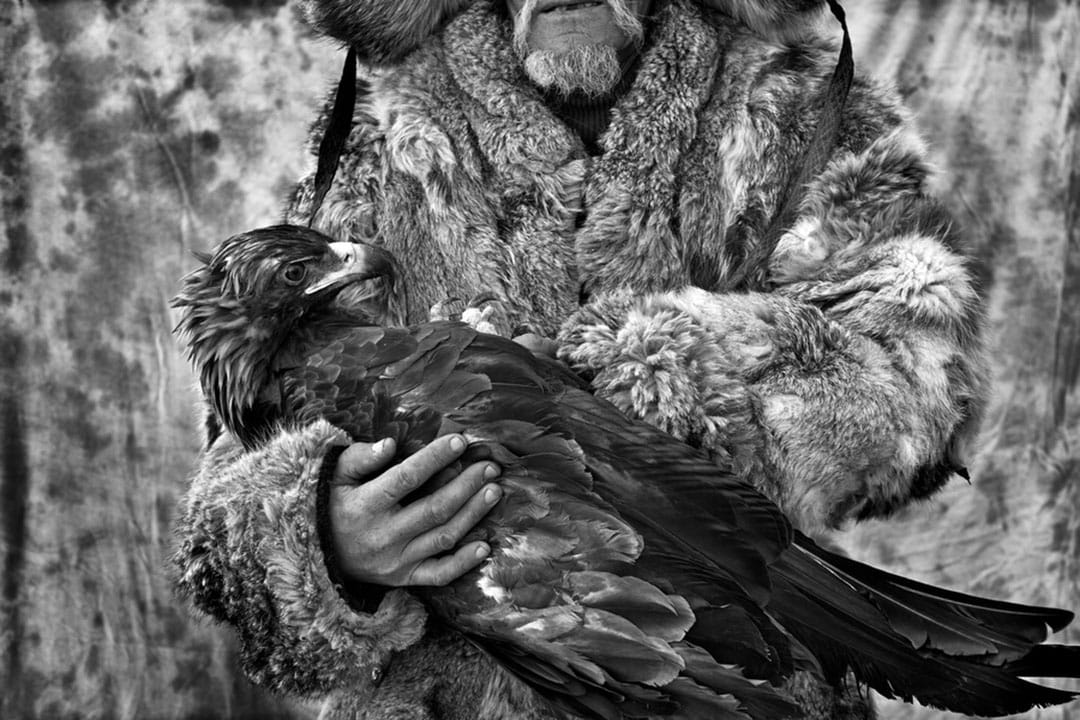 图片故事《Hunting with Eagles》。摄：Palani Mohan