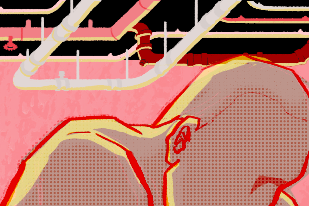 插圖由 Sarene Chan 繪製