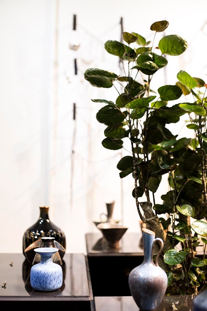 图片由 XLICP 提供