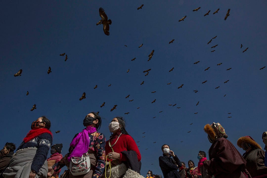 禿鷹在佛學院的人潮上空飛過。攝：Kevin Frayer/Getty Images