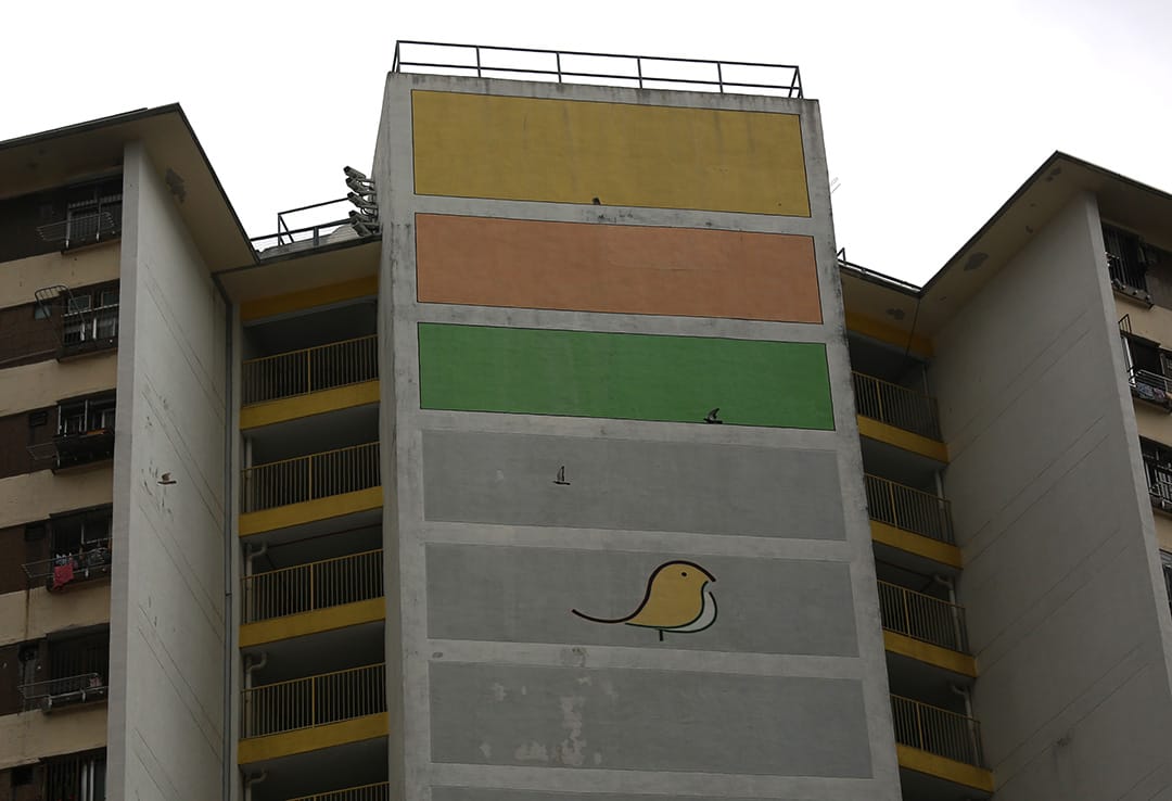 吳姓學生，21歲，大學二年級，沙田。04/11/15