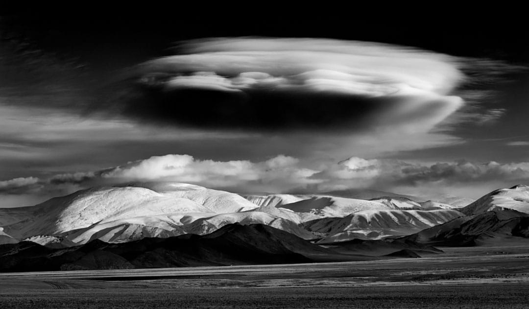  图片故事《Hunting with Eagles》。摄：Palani Mohan