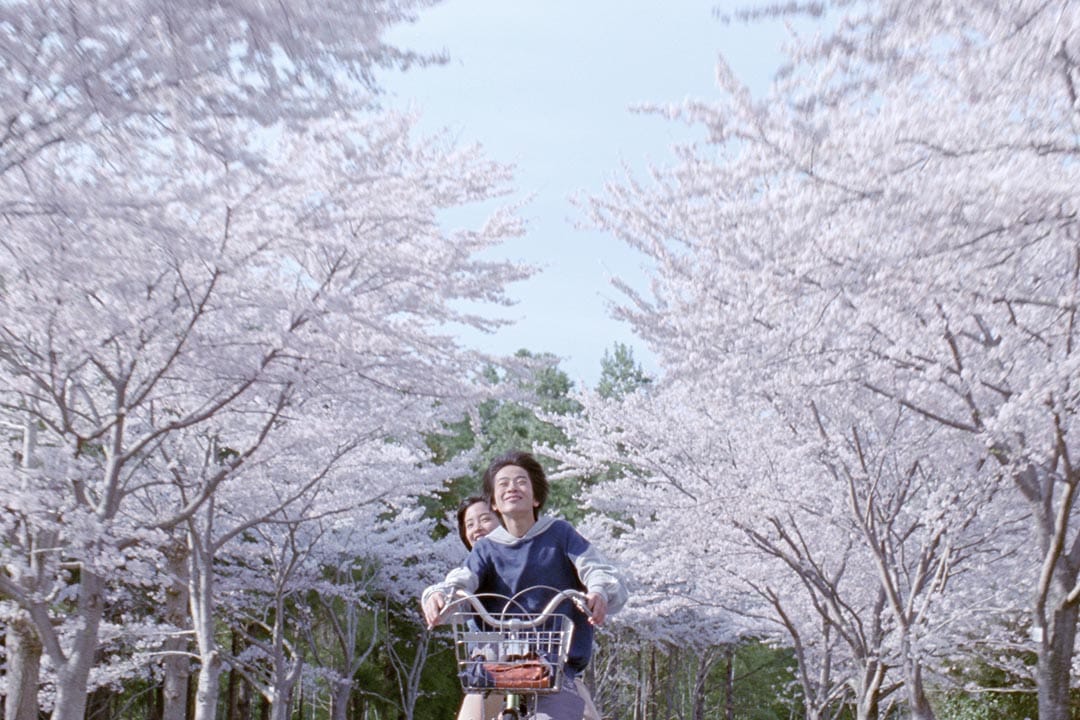 圖片由安樂影片提供