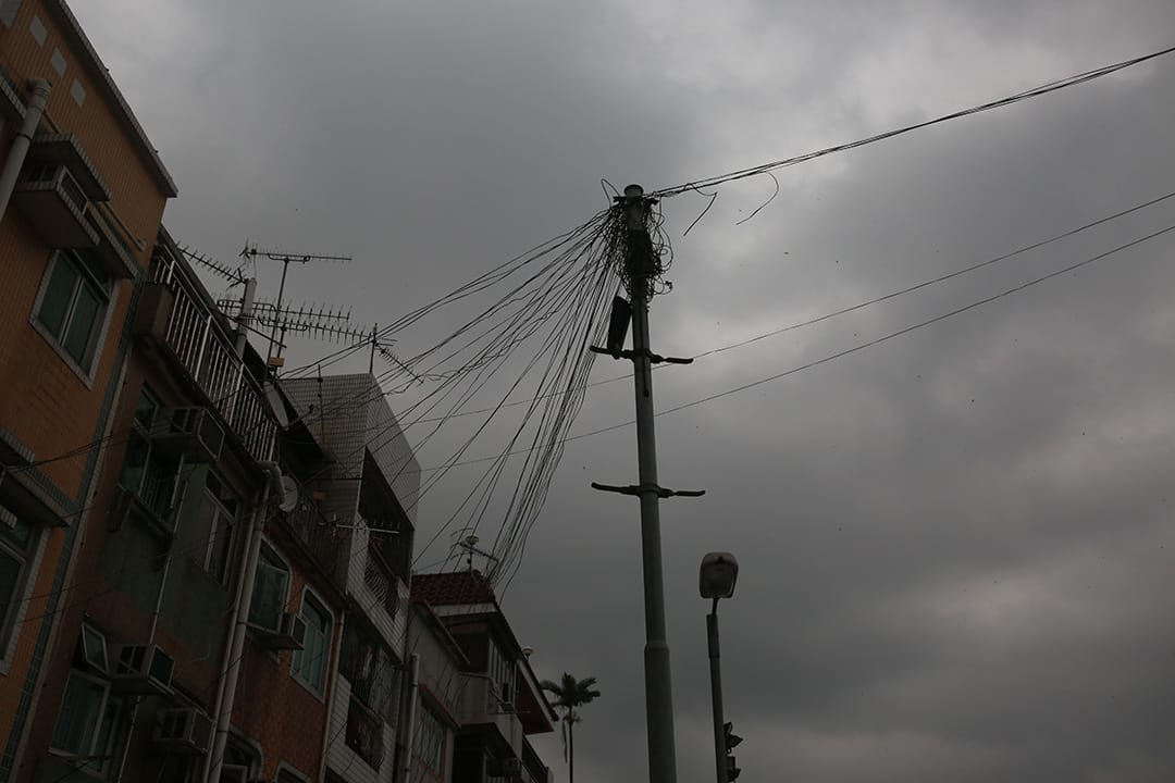 張姓學生，18歲，中學六年級，元朗。28/12/15