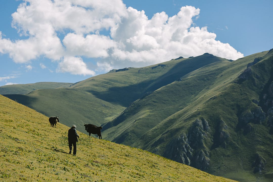 牧民在山上草原放牧。摄 : 王嘉豪/端传媒