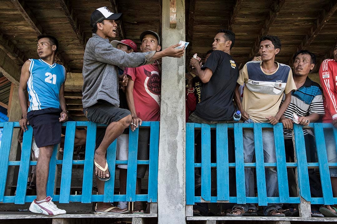 手持印尼盾的观众在场边落注。摄：Putu Sayoga