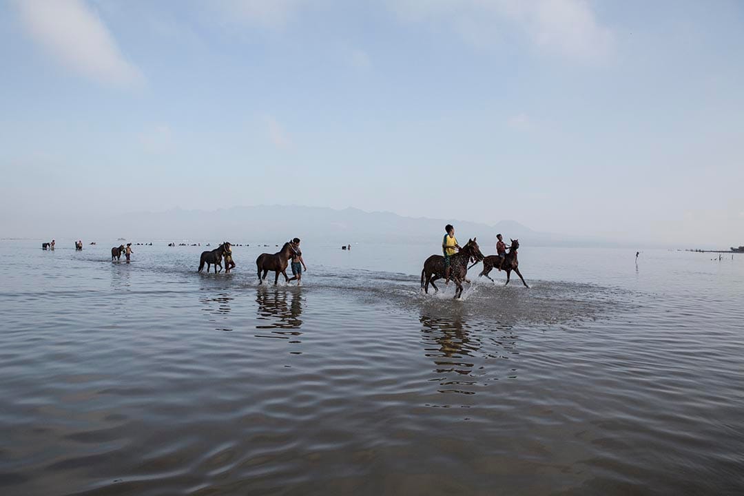 小骑师们带马儿到海滩。摄：Putu Sayoga