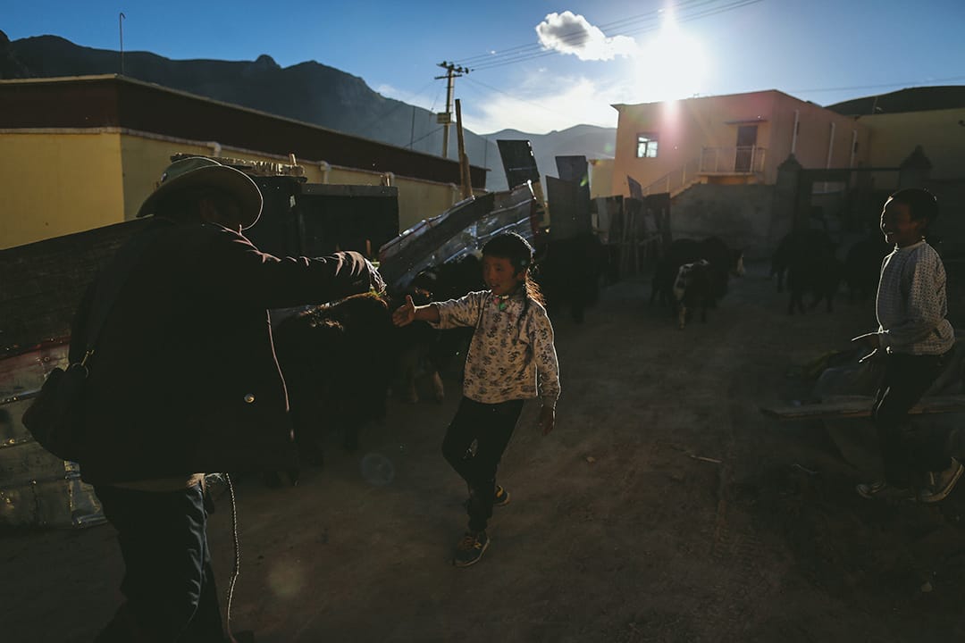 牧民放牧后回到结古镇附近一个移民村。摄 : 王嘉豪/端传媒