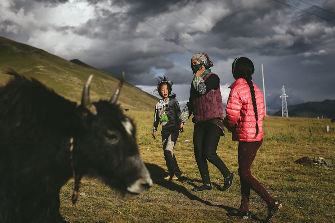 巴塘草原上一个牧民家庭在放牧。摄 : 王嘉豪/端传媒