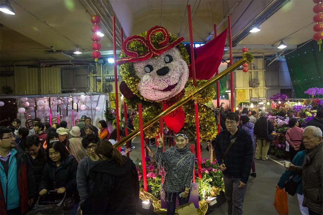 2016年1月30日，台北。摄：Billy.H.C.Kowk/端传媒