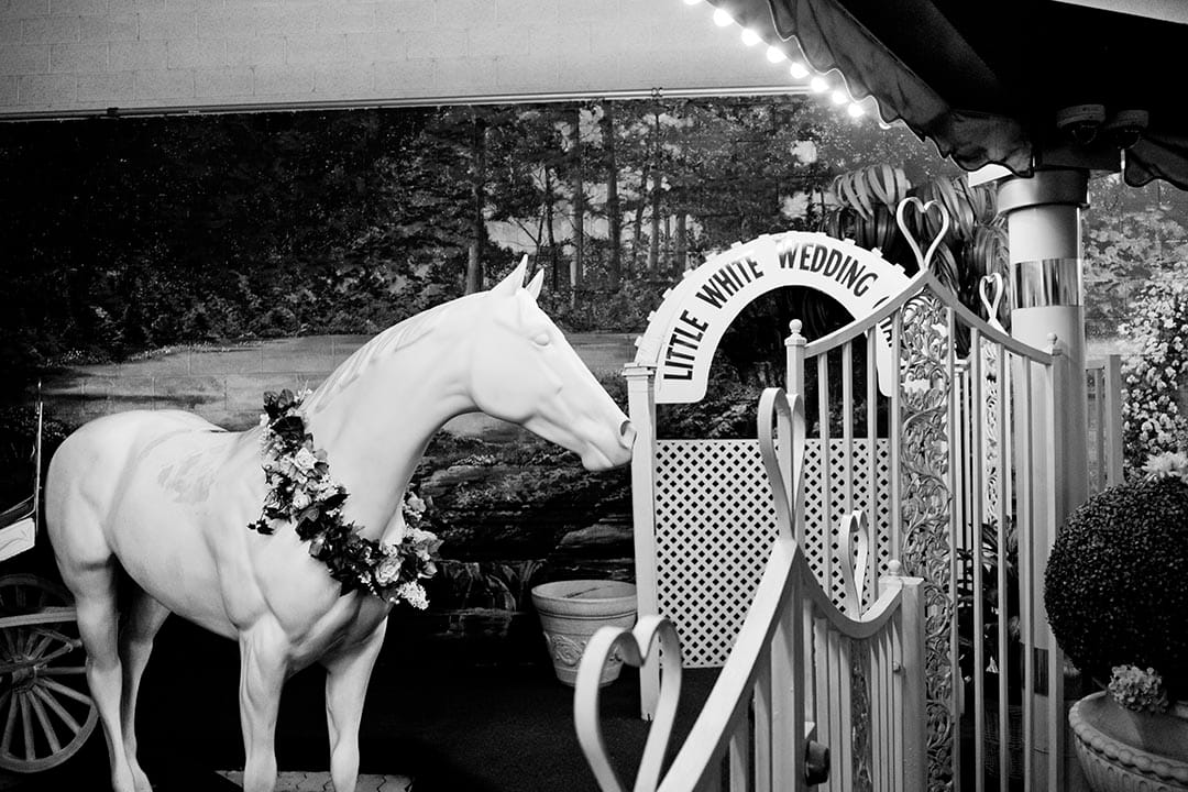 这些小教堂通常还有各种为拍结婚照需要的场景，同时也提供拍摄的服务。