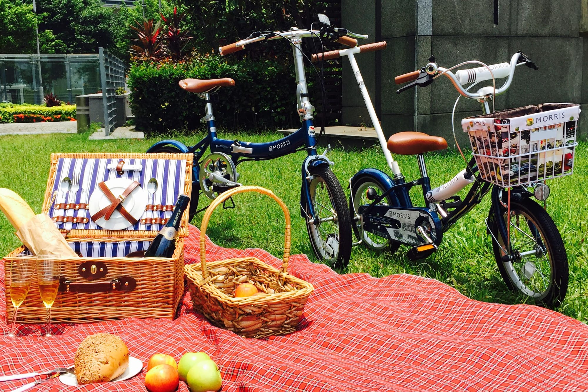 图片由 Morris 提供