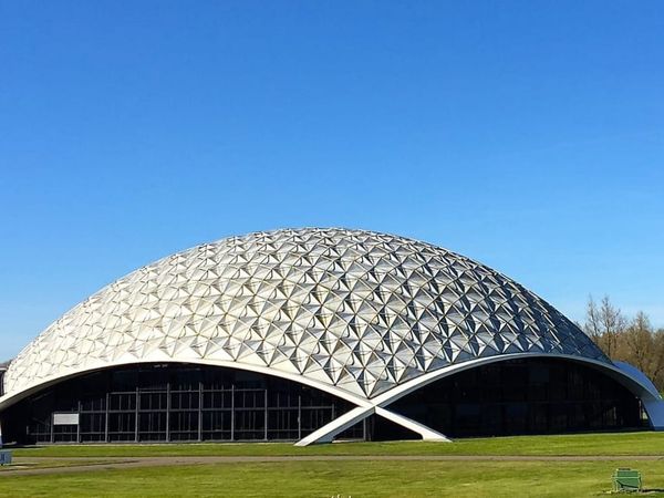 Dieprode jaarcijfers en ingrijpende reorganisatie bij Louwman