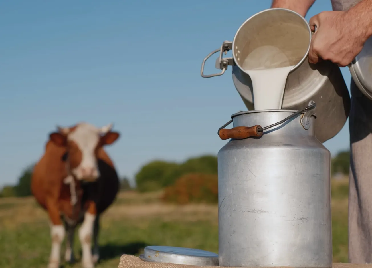 Read 'Dairy’s Unyielding Price Stability Defies Broader Grocery Inflation'