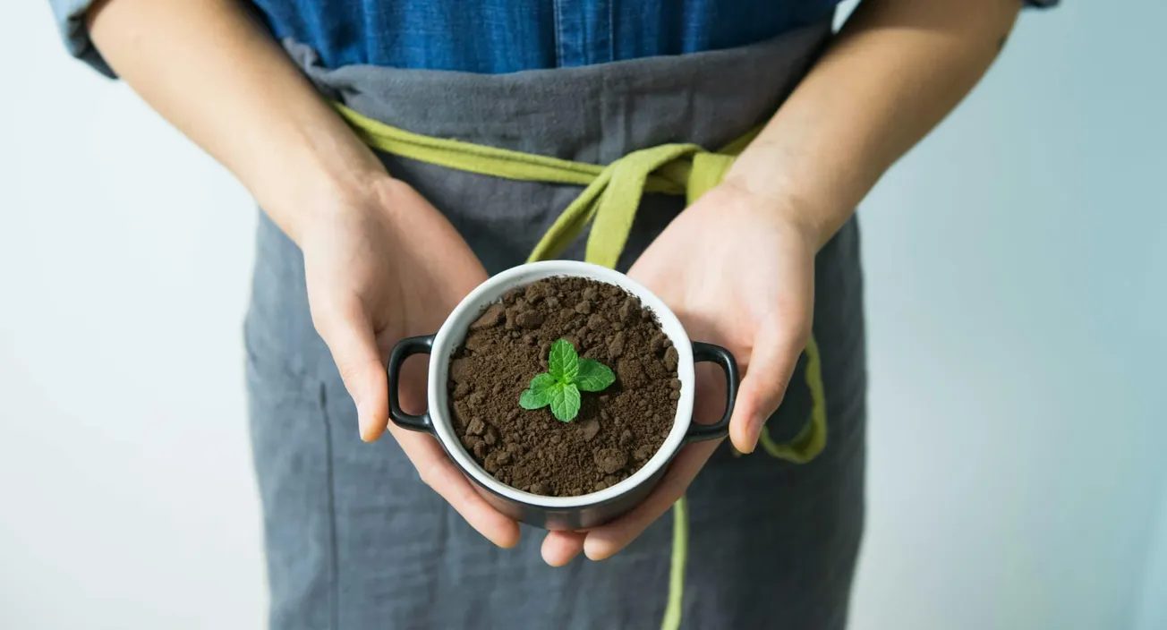 Hands holding a small round dish with soil and a young green plant. The person wears a blue shirt and gray apron.