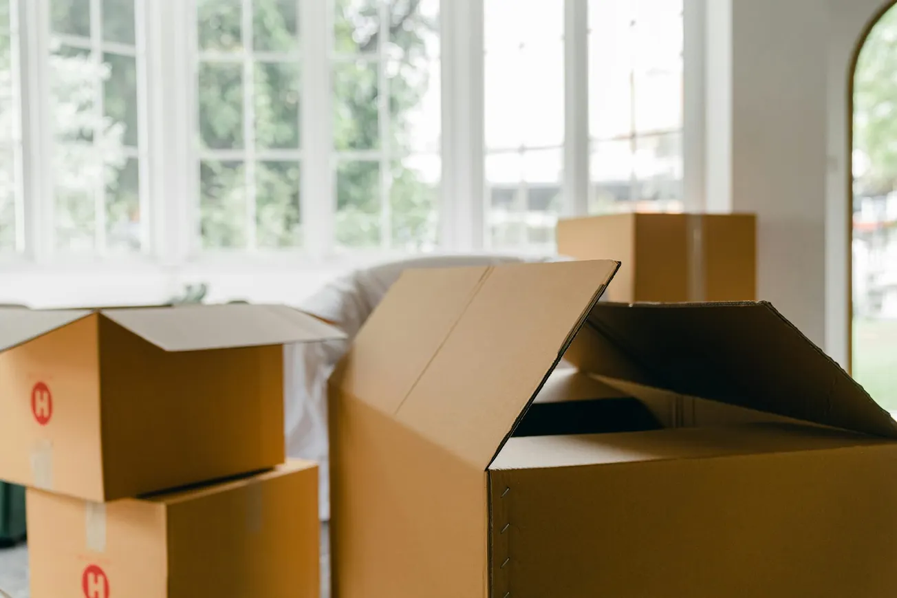 Open cardboard boxes are scattered in a sunlit room with large windows, suggesting a moving or unpacking scene. The atmosphere feels fresh and new.