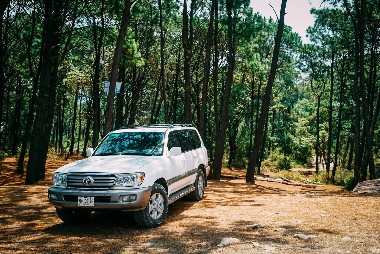 A white SUV is parked among tall pine trees in a sunny forest clearing, casting soft shadows. The scene evokes a sense of adventure and tranquility.