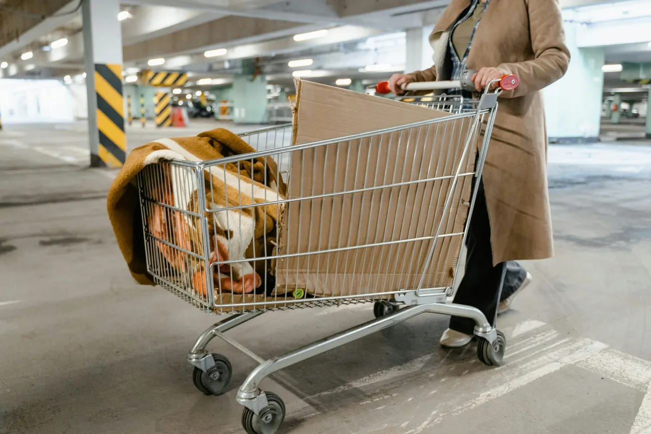 A person pushes a shopping cart filled with a cardboard box and a brown blanket near parked cars in a dimly lit parking garage.