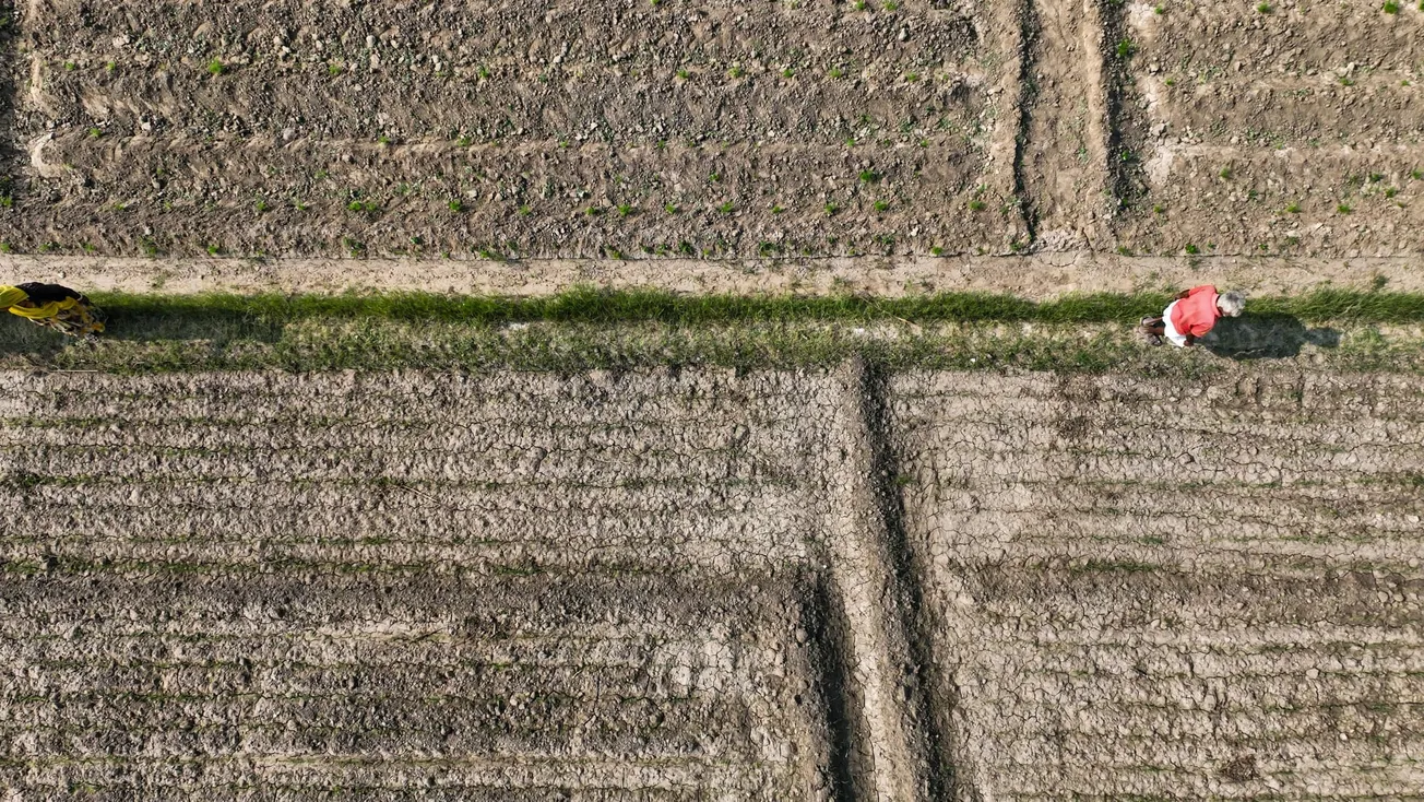 Aerial view of farmland with a dry, brown landscape and green patch pathways. Two people walk along the path, one in pink, conveying a sense of solitude.