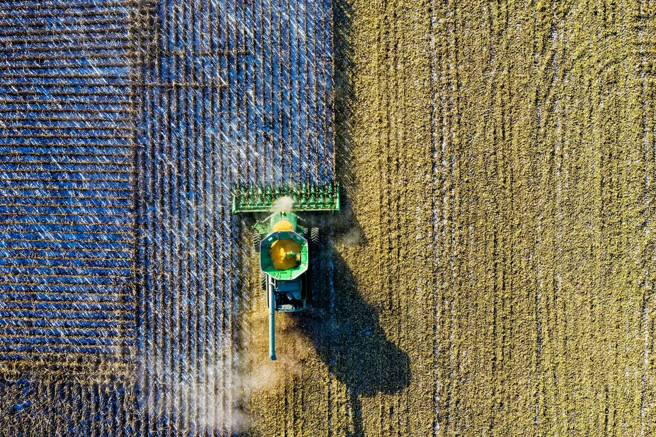 Aerial view of a green combine harvester in a vast golden field. It moves left to right, creating distinct harvested and unharvested sections. Dust rises in its wake.