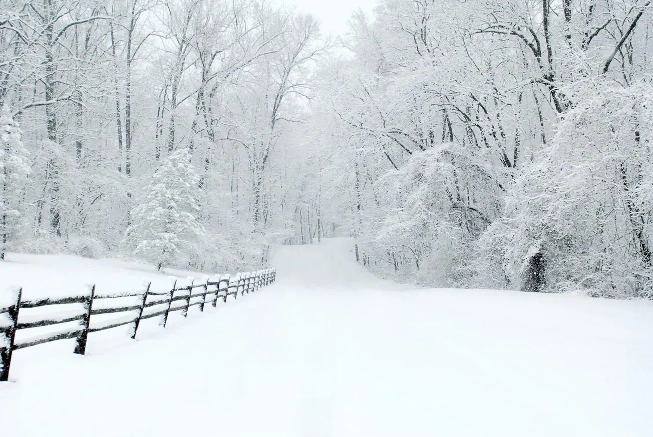Snowy landscape with a serene winter road flanked by a wooden fence and trees dusted with snow, creating a peaceful, pristine atmosphere.