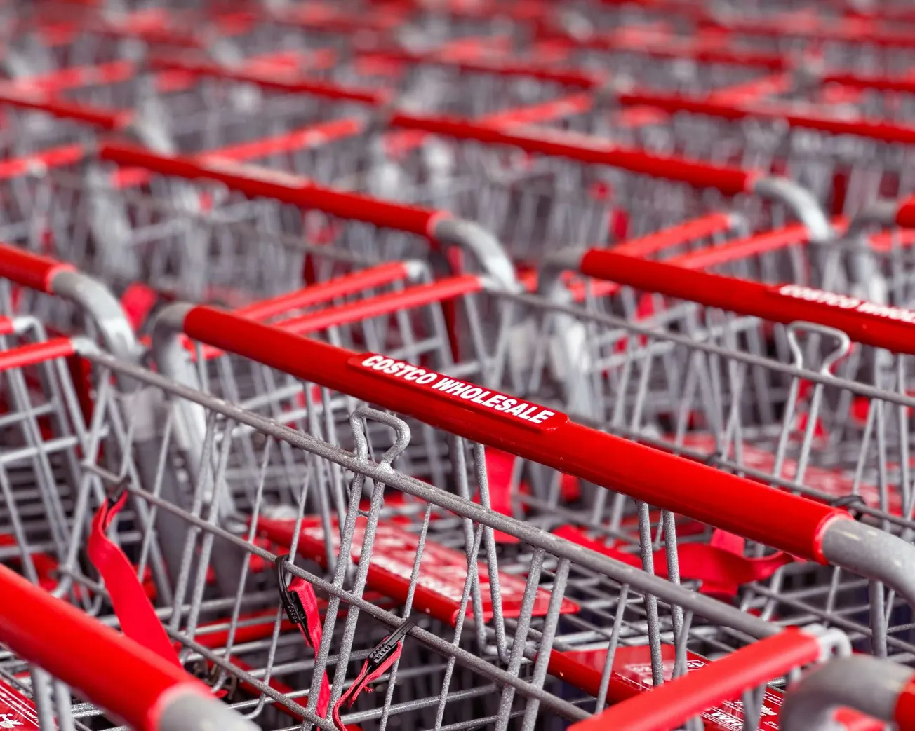 A cluster of Costco shopping carts with red handles neatly lined up. The repetition of carts creates a sense of organization and preparedness.