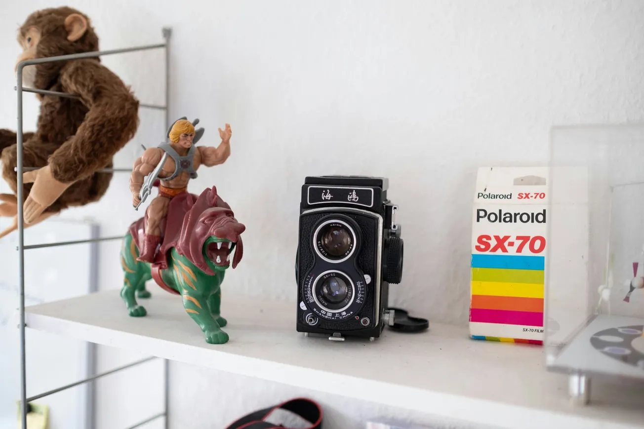 Shelf with a He-Man toy on a green tiger, vintage camera, and Polaroid SX-70 film box. A plush monkey is visible on the left. Retro and nostalgic.