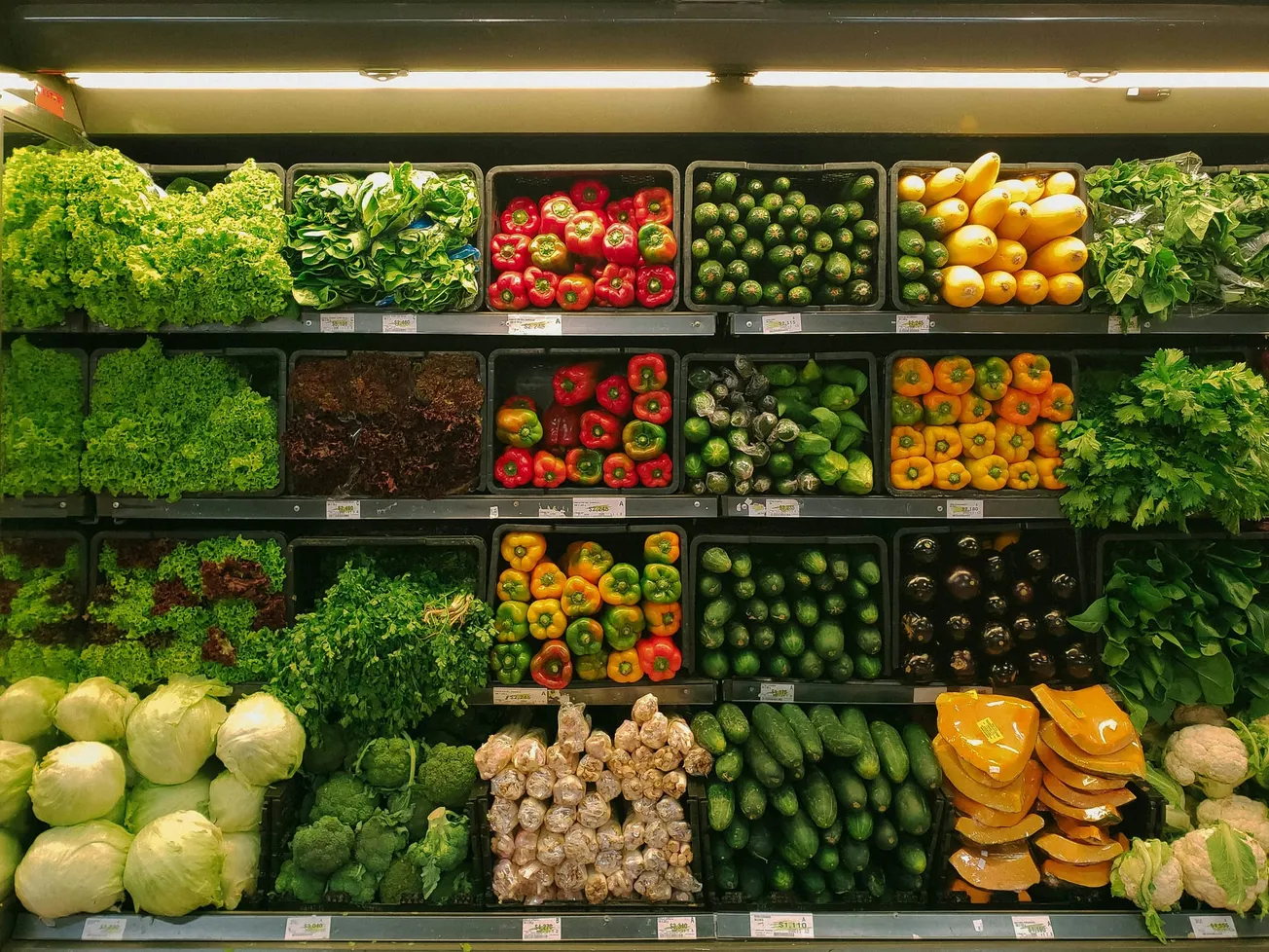 A grocery store display features vibrant, neatly stacked vegetables, including peppers, zucchini, lettuce, and squash, creating a fresh, colorful scene.