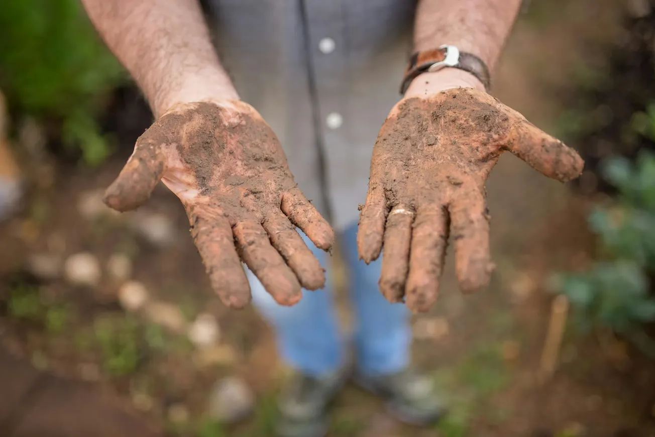 A person extends their hands, covered in earthy soil, conveying a sense of hard work in nature. Background shows blurred plants and path, suggesting gardening.