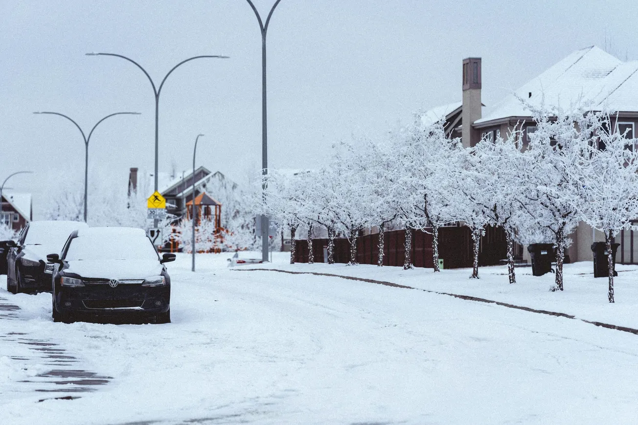 Snow-covered street scene with parked cars and leafless trees blanketed in white. Houses line the road under a cloudy sky, evoking a serene winter atmosphere.