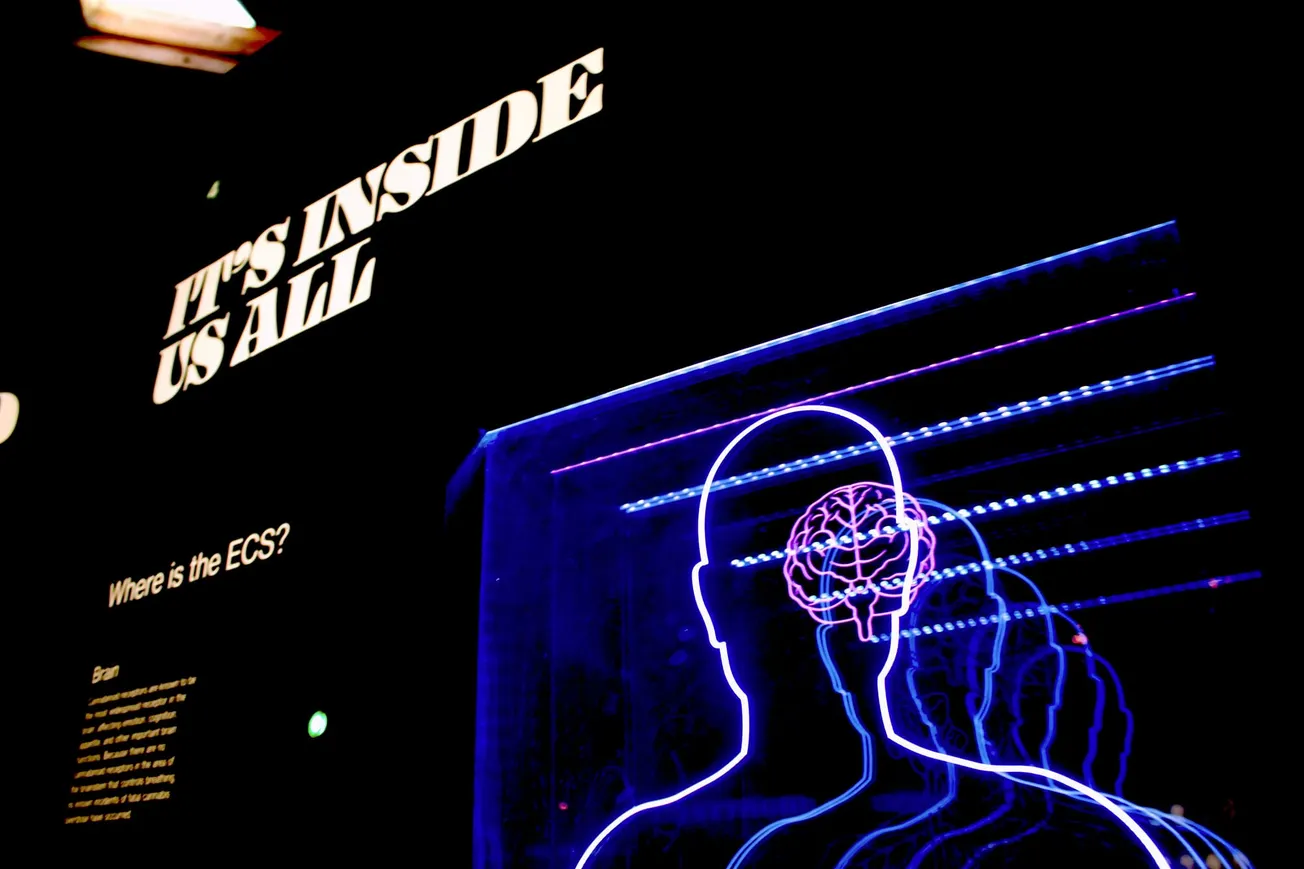 An illuminated display featuring a neon outline of a human figure with a pink glowing brain, accompanied by the bold white text "IT'S INSIDE US ALL" and the question "Where is the ECS?".